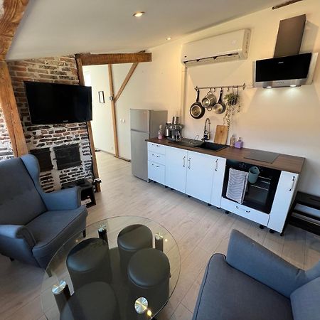 Bellevue Appartement Sous Les Toits Hypercentre Climatise Dole Exteriör bild