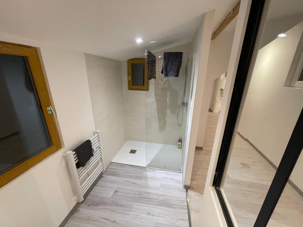 Bellevue Appartement Sous Les Toits Hypercentre Climatise Dole Exteriör bild