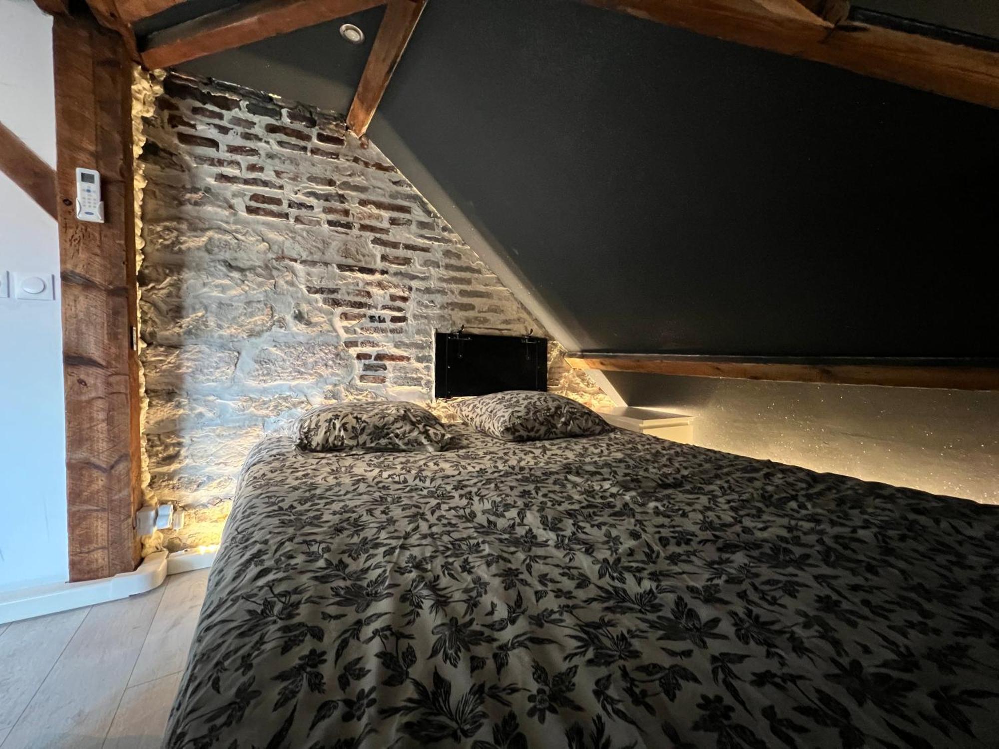 Bellevue Appartement Sous Les Toits Hypercentre Climatise Dole Exteriör bild